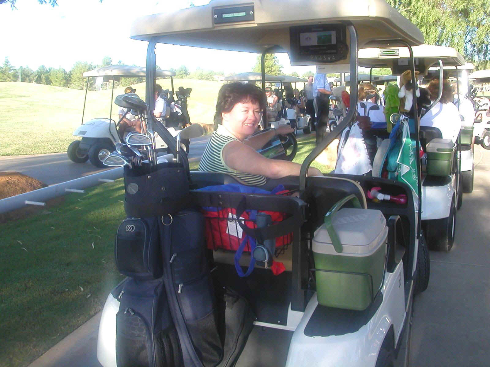03920015 PHX DLGolf .jpg (301650 bytes)